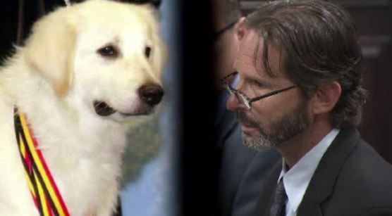 State Board Eases Restrictions on Veterinarian Who Botched Spay