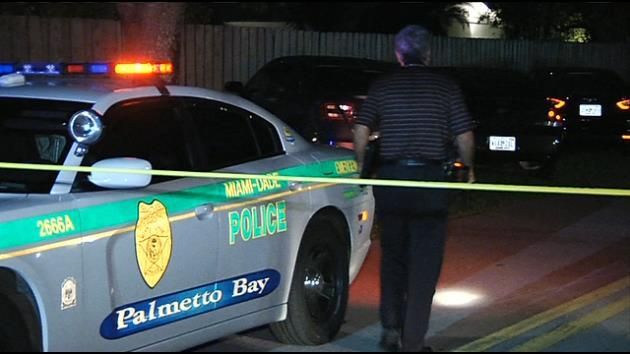 Police: Officers forced to fire at pickax wielding man