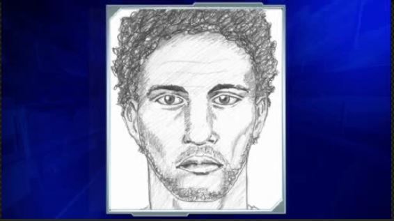 Police release sketch of suspected Broward County groper