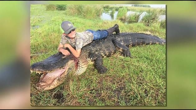 Florida hunters bag 15-foot gator