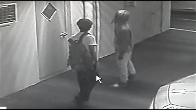 Teens in custody after Hallandale Beach car break-ins