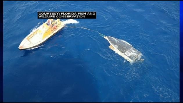 Pilot says he saw 1 of 2 missing teen fishermen