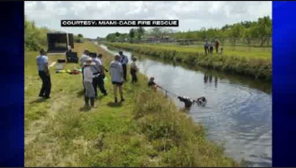 Horse pulled from SW Miami-Dade canal