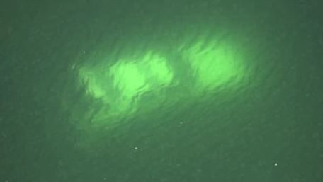 Stolen Miami-Dade Police cruiser found in canal