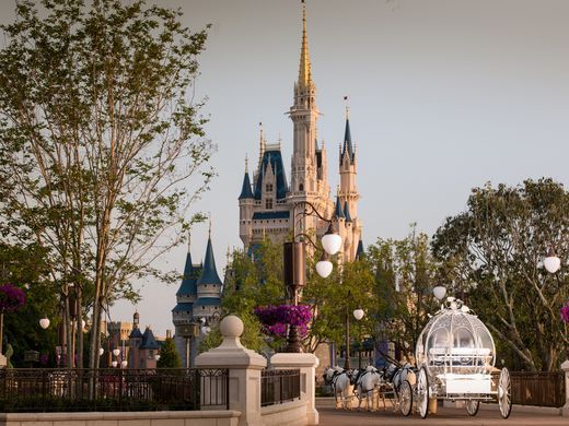 You can now get married in front of Disney's Cinderella Castle
