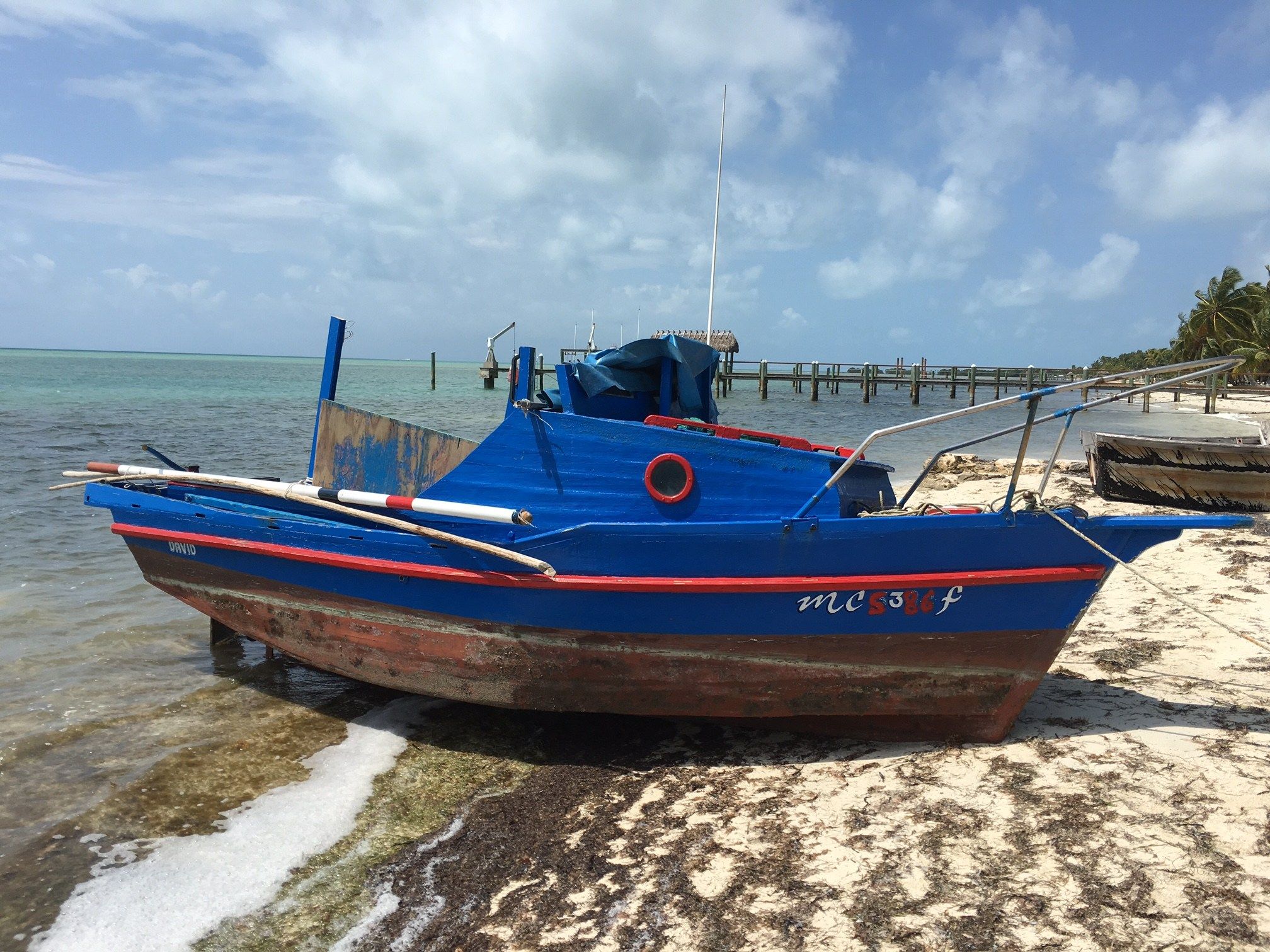 8 Cuban migrants reach U.S. soil in Islamorada