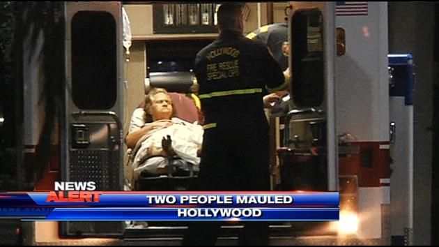 Dogs maul 2 people, kill small dog