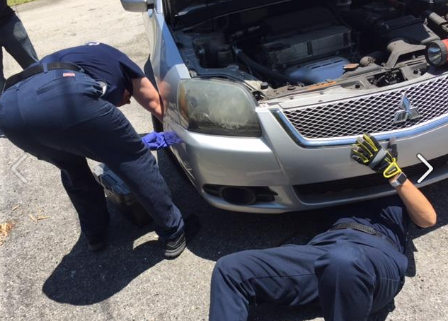 Fort Lauderdale Fire rescues cat stuck in driver's engine