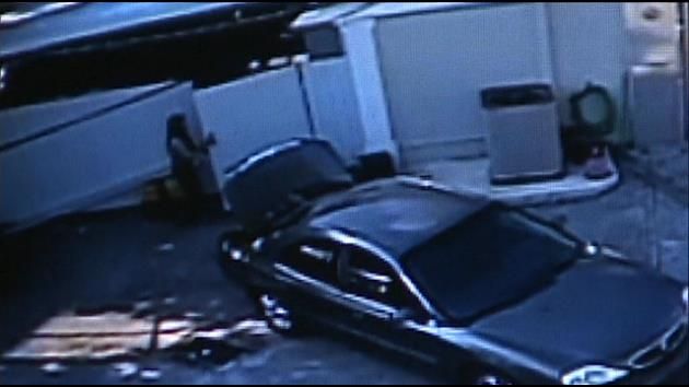 Duo burglarizes religious store; steal 50 white doves