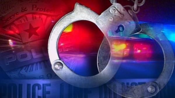 Ex-wrestling star Kevin Nash arrested after fight with son