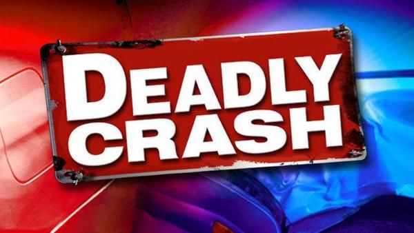 Officials search for cause of plane crash over Egypt's Sinai