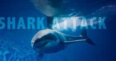 Authorities: Surfer, 14, bitten by shark in Florida waters