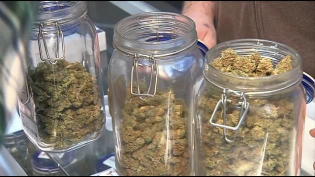 Broward commissioners pass pot proposal