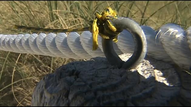 Surfside beach area used by Jews on Sabbath vandalized