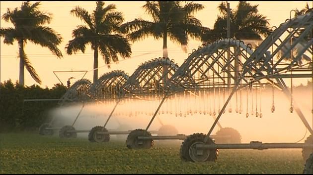 South Florida residents asked to conserve water during drought
