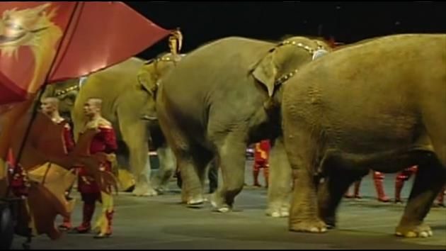 Ringling circus elephants to retire in May