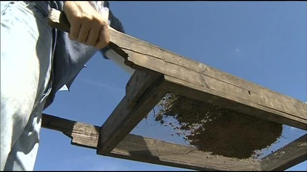 Archeologists dig for human remains at proposed development