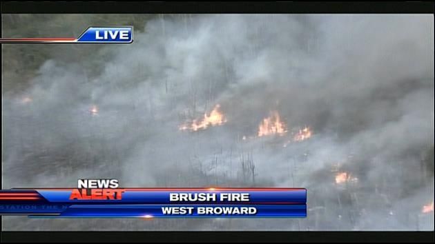 Crews extinguish brushfire in Everglades amid lightning concerns