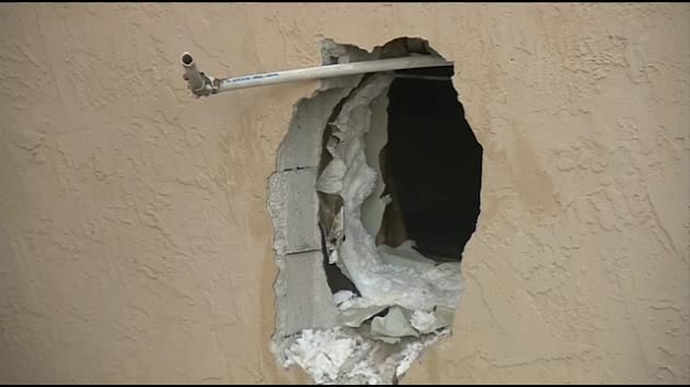 Thieves break through wall of Miami business to steal seafood
