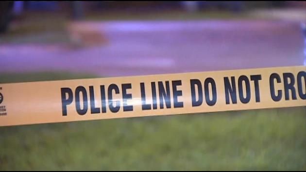 Skeletal remains found at Port Everglades