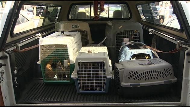 Animals from Aruba returned to their original rescuer