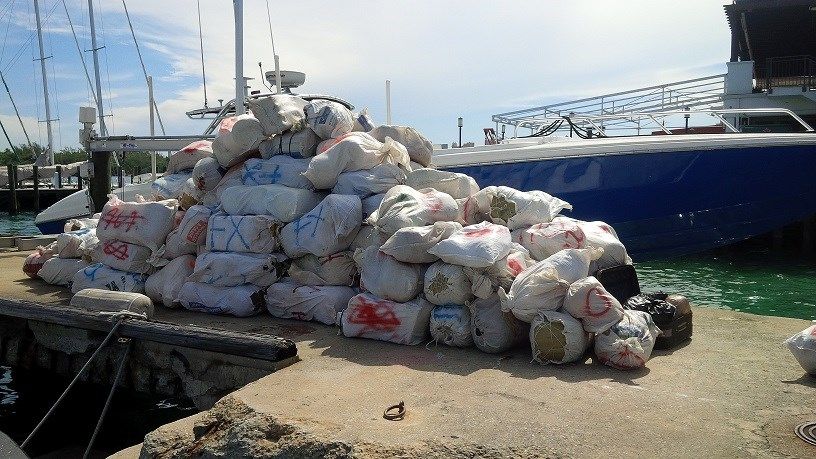 $4.6 million worth of marijuana seized in Bahamas by Coast Guard officials, agencies