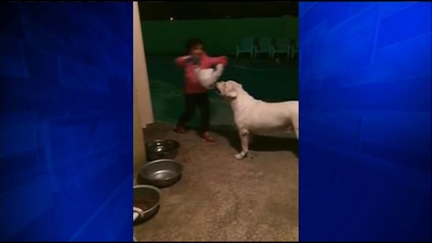 Family wants answers after police shoot, kill dog