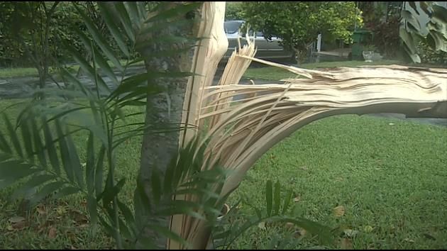 Striking weather across South Florida sparks fires, topples trees; no injuries