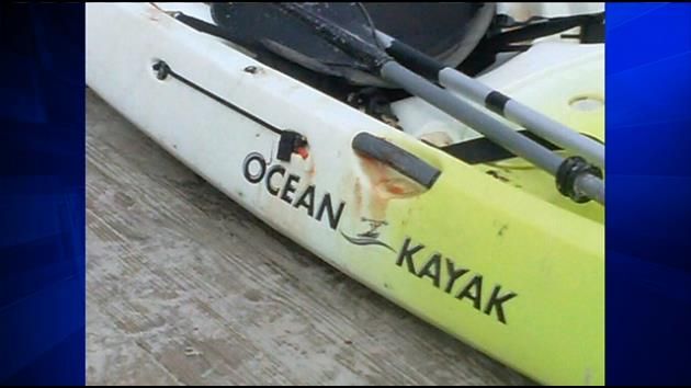 Gator captured after attacking, biting off swimmer's arm