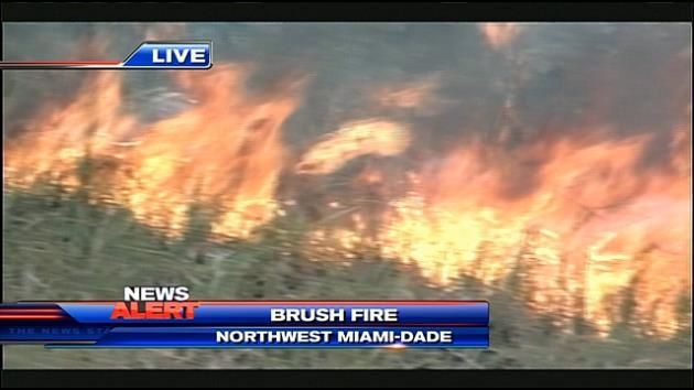 Northwest Miami-Dade brush fire sparked by lightning