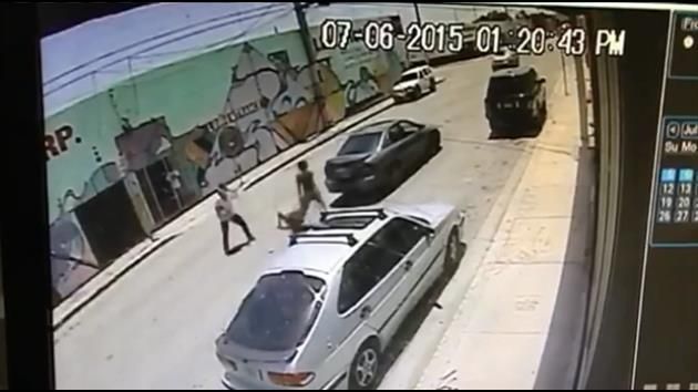 Violent juvenile attempted purse snatcher arrested