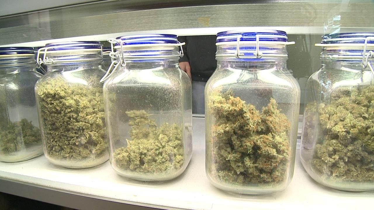 Medical marijuana bill passes Florida House