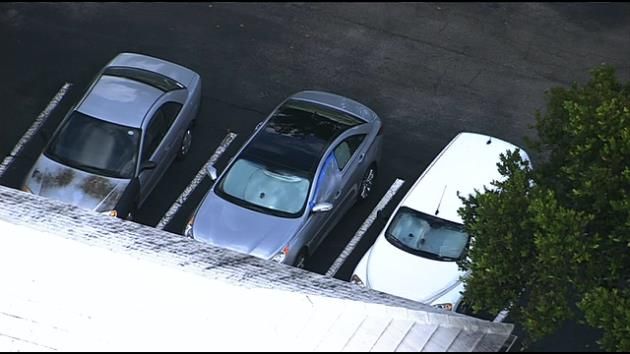 24 cars vandalized in Oakland Park community