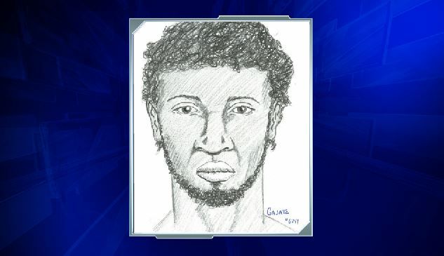 Sketch released of alleged rapist of 16-year-old