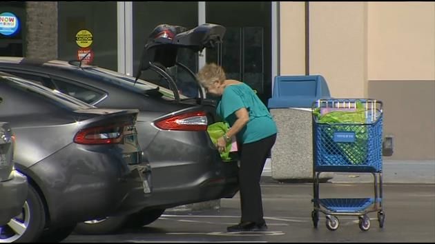 Holiday Grinchbusters work to keep shoppers safe on Black Friday