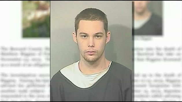 Deputy: Gator killed man in community hit by burglaries