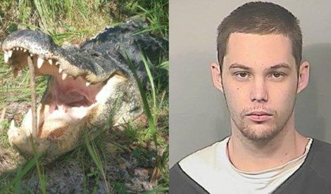 Gator killed man in community hit by burglaries