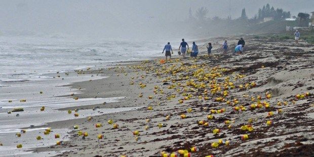 Hundreds of full coffee cans wash up on Florida beach