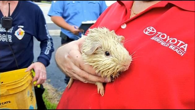 Family of 4, pets displaced after Lauderdale Lakes house fire