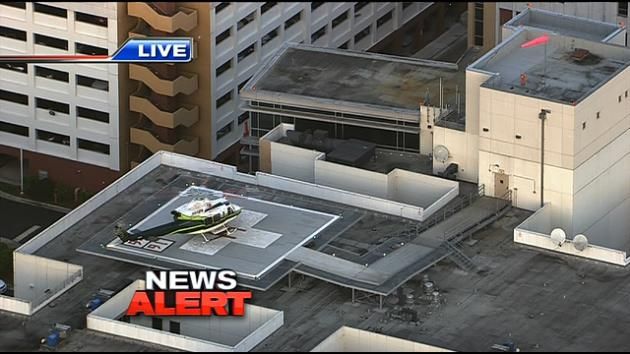 Homestead man bitten by dog