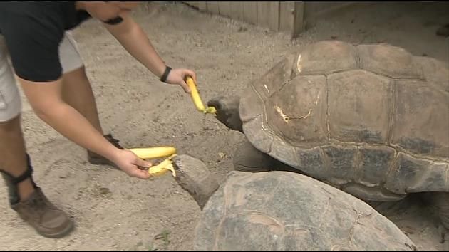 Zoo Miami closes early due to extensive rain