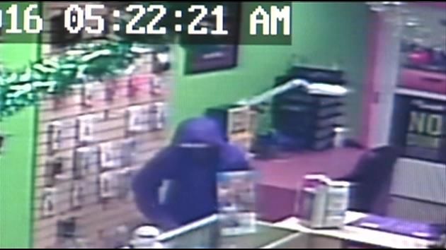 Hilaleah store burglary caught on camera