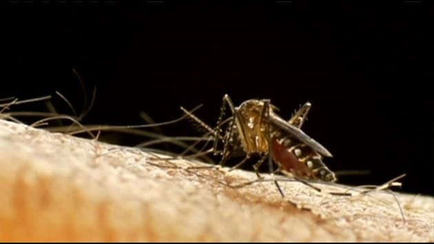 New case of Zika in Broward County, Gov. Scott extends health emergency