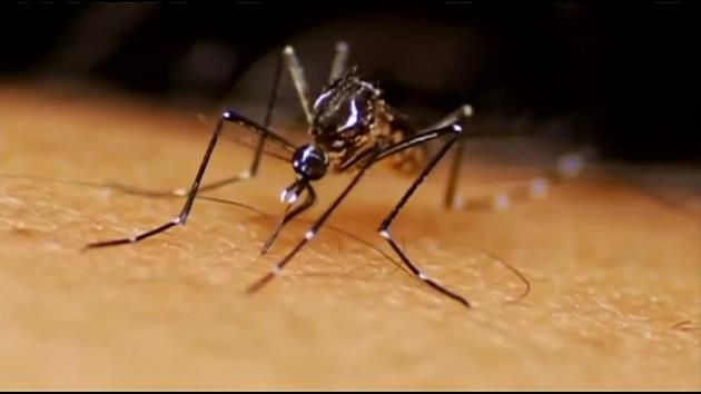 US officials: The more we learn about Zika, scarier it is