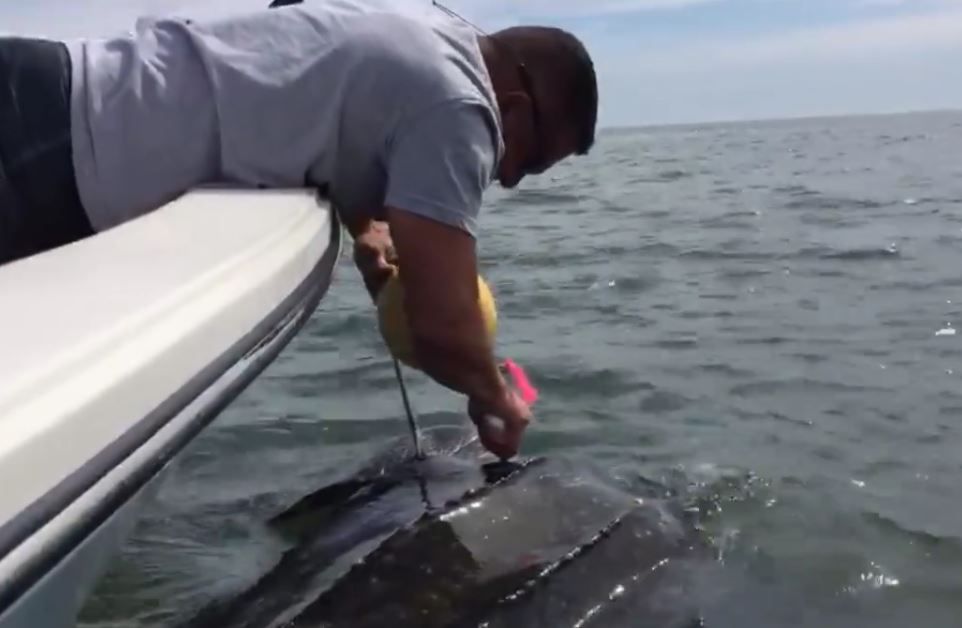 Florida off-duty officers save distressed Leatherback sea turtle